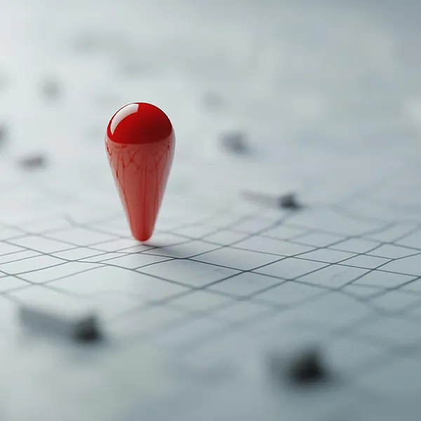 pin on a map