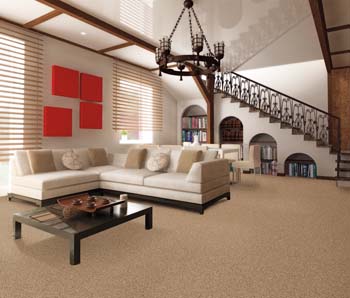 carpet flooring