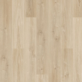 Windam Shores: ONLY $6.15 - Asher Swatch