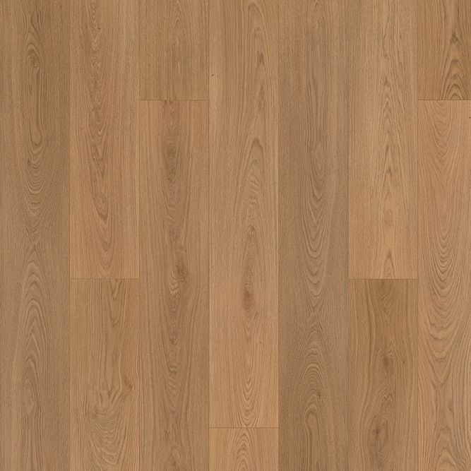 Summerhill Chase 9": ONLY $6.15