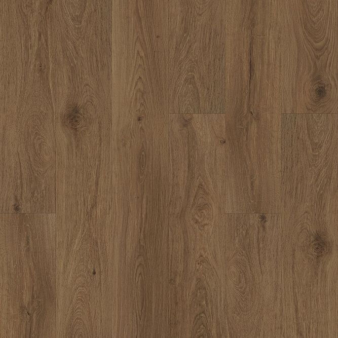 Sandalwood Grove: ONLY $6.15